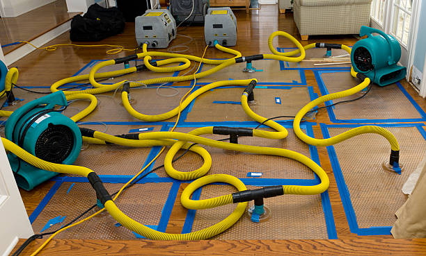 Professional Water Damage Repair technician working in Freeport, TX